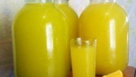 Как из 4 апельсинов сделать 9 литров лимонада