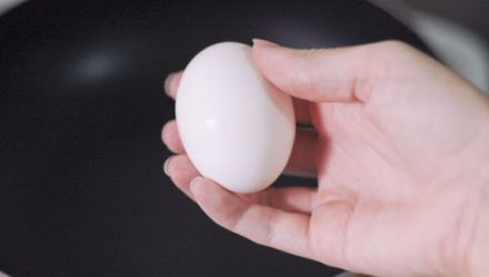 Лучшее средство по борьбе с папилломами — яйцо