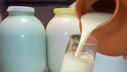 Что сделать чтобы молоко не скисало, а долгое время оставалось свежим