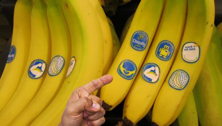 Что значит наклейка на бананах: совет, который поможет выбрать самый полезный плод
