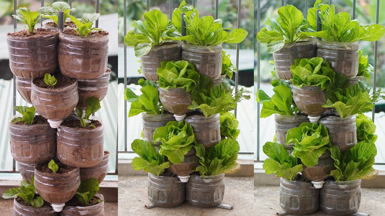 Выращивайте овощи из пластиковых бутылок на балконе без сада — Хозяйка — Рукодельница