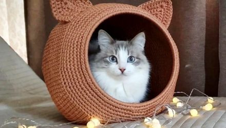 Вязаный домик для кошки крючком — пошаговая инструкция