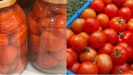 Секреты приготовления идеального рассола для помидоров
